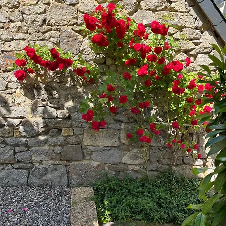 F2 Pavot Apartman La Bourboule